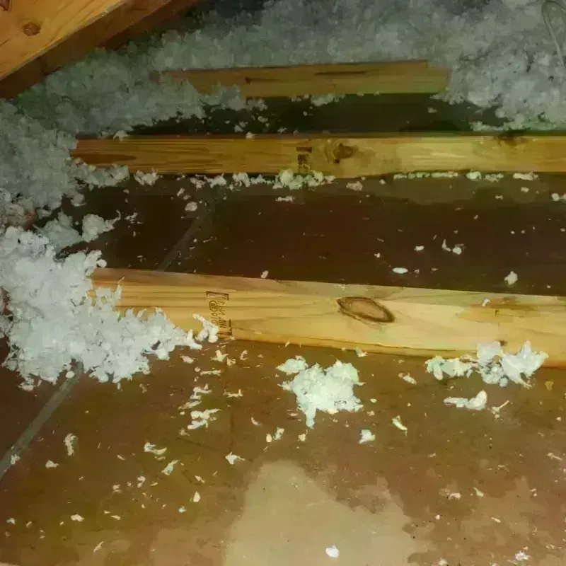 Attic Water Damage in Whitefish, MT