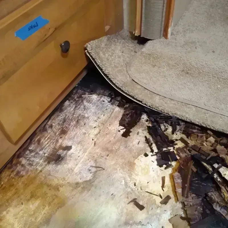 Wood Floor Water Damage in Whitefish, MT